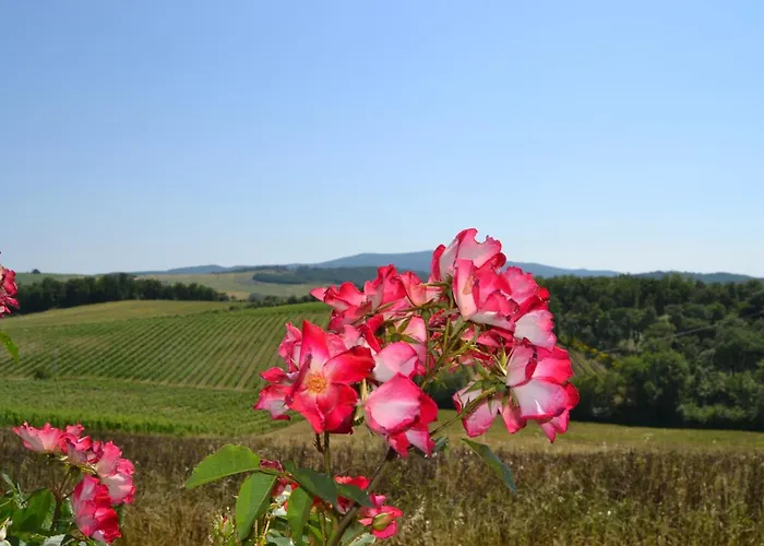 Agriturismo Cignanbianco