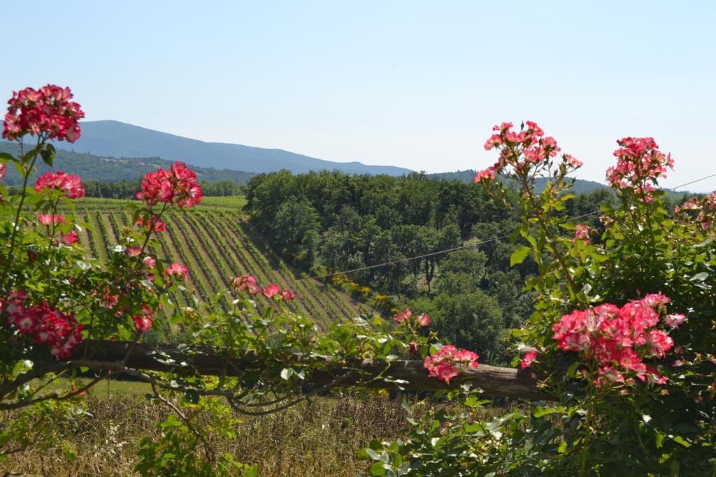 Cignanbianco Castellina in Chianti