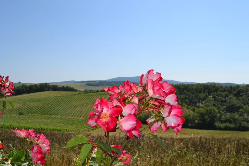 Cignanbianco Farm stay *